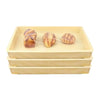 Plastic Food Preservation Cover