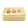 Plastic Food Preservation Cover